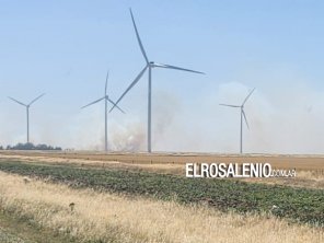 Importante incendio de pastos en la zona de Las Oscuras
