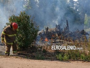 Incendio de pastizales en Ruta 229 en cercanías a una vivienda