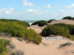 “Los guardavidas corrieron más de 500 metros por los médanos para rescatar al motociclista”