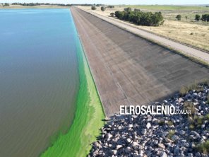 Problema latente por las algas: así están las aguas del dique Paso de las Piedras 