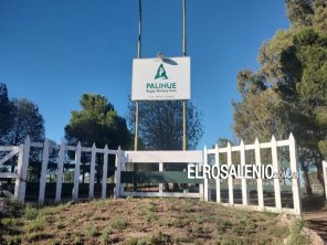 Robos: el Club Palihue empezó el nuevo año como terminó 2024 