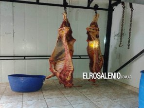 Coronel Suárez: desmantelan planta clandestina de desposte de carne vacuna 