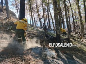 Brigadistas forestales de la Armada Argentina combaten los incendios en El Bolsón
