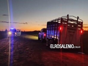 Dos detenidos por el robo de siete vaquillonas preñadas 