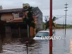 Emergencia en la Ciudad: Comité de Crisis Activo y Refugios Disponibles