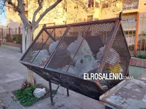 Cambios en la recolección: “Estamos viendo si volvemos al otro esquema o seguimos así”