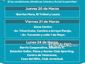 El Municipio dio a conocer hoy un cronograma de fumigación