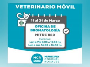 El Quirófano Veterinario Móvil continúa prestando su servicio gratuito