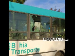 Suspenden el servicio de colectivos en Bahía Blanca tras los ataques a piedrazos 
