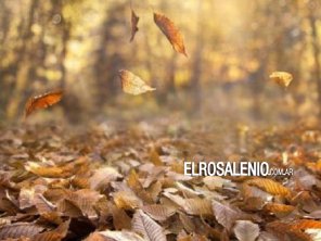 Comienza una semana que tendrá temperaturas agradables