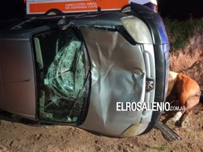  Se dirigían a nuestra ciudad por la ruta 3, chocaron un caballo y terminaron volcando 