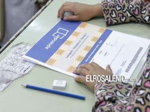 Preocupantes resultados de Aprender 2024: solo el 14,2% de los estudiantes logró nivel satisfactorio 