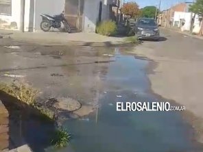 El Concejo Deliberante declaró emergencia sanitaria y Aristimuño analiza vetarla