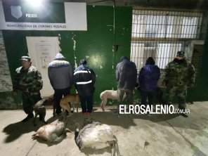 Aprehendieron a 4 hombres que iban en un auto con 2 Ñandúes y 4 Galgos