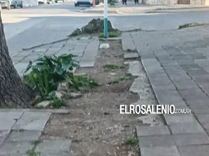 ¿Qué pasa con la obra abandonada de recambio de cañerías y reparación de veredas?