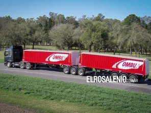 El Concejo pidió al Ejecutivo que no permita circulación de camiones bitrenes