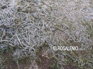 La primavera llegó con una importante helada en algunos sectores de la ciudad