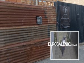 “Carucha” robó otra vez, fue nuevamente filmado y fue detenido por la Policía