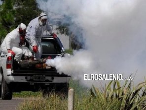 El Municipio comenzó la “campaña de fumigación 2025-2026” y difundió un cronograma