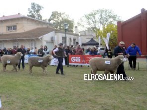 Bordeu 2025: desde hoy se podrá ver lo mejor de la muestra 