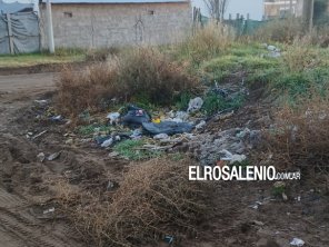 Podrá denunciarse por WhatsApp a quienes arrojen residuos formando microbasurales