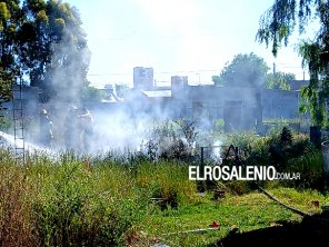 Quiso ahuyentar abejas y terminó provocando un incendio