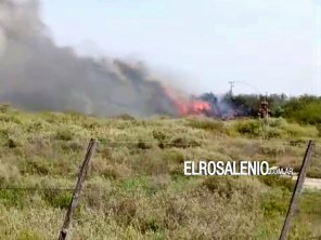 Bomberos contuvieron un incendio que se acercaba a una vivienda en Villa Arias