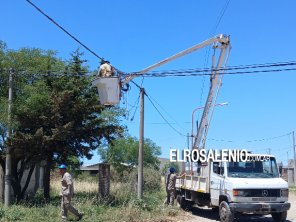 Un camión provocó daños en el cableado y dejó sin suministro eléctrico a usuarios del sector
