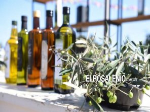 Producción y turismo: con 11 fincas participantes, fue inaugurada la Ruta del Olivo 