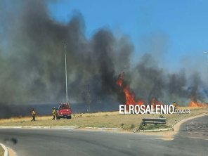  Incendio en el predio del aeropuerto: “Afectó alrededor de 350 hectáreas“