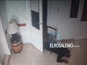 A lo Misión Imposible: así se llevaron $3 millones de un conocido local de bebidas