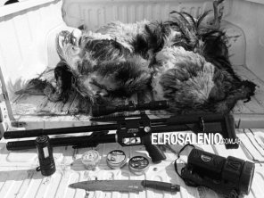 Aprehendieron a tres personas por caza ilegal de ñandú 