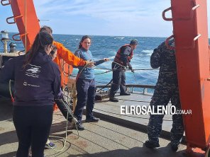 Científicos viajan a bordo del Rompehielos Irízar para realizar estudios de ballenas