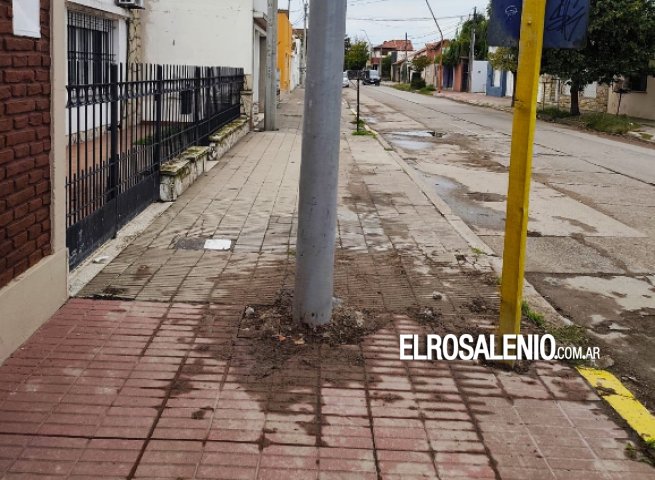 Pedirán al ENACOM que intervenga y se expida respecto a la instalación de postes de Movistar