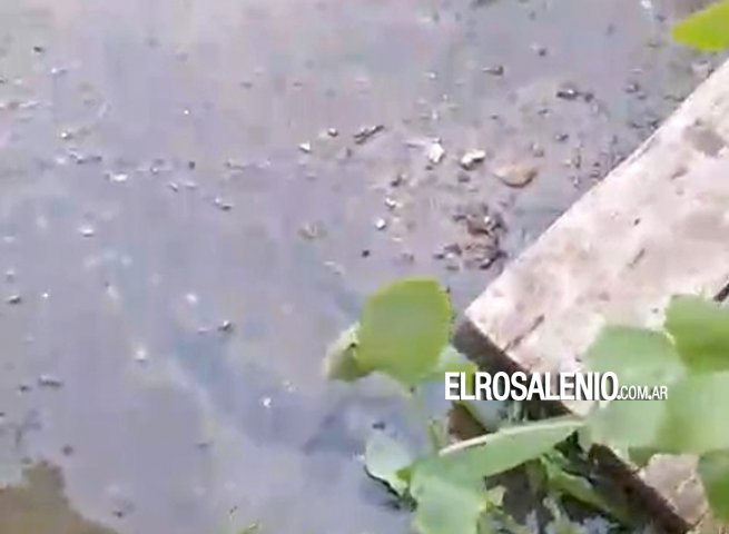 “Ya no se puede vivir así, nos desborda la materia fecal por todos lados”